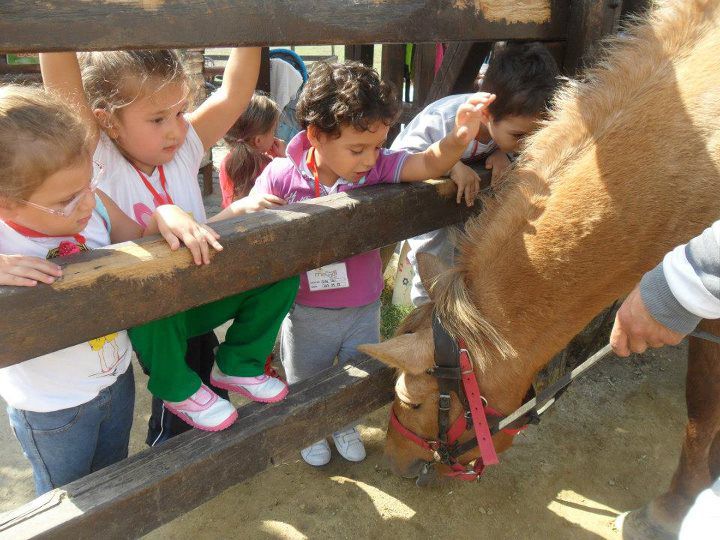 Özel Melodi Anaokulu Bahçelievler